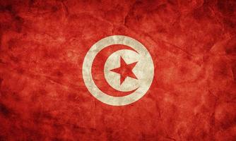 tunisien grunge flagga. föremål från min vintage retroflaggorsamling foto