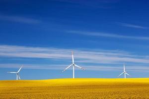 vindkraftverk på vårfältet. alternativ, ren och naturlig energikälla foto