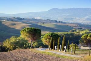 toscana landskap på morgonen. toskanska gårdar, kullar, cypresser foto