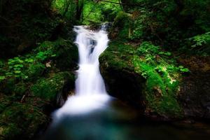 litet vattenfall i en dal i skogen foto