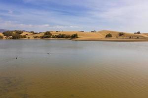 oas i maspalomas dunas foto