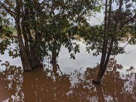 njut av utsikten på stranden av floden, Kalimantan, Indonesien foto