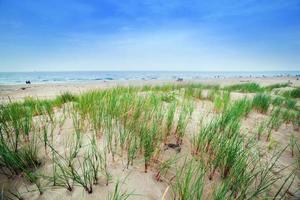 lugn strand med sanddyner och grönt gräs. lugnt hav foto