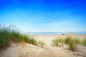 lugn strand med sanddyner och grönt gräs. lugnt hav foto