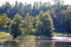 utsikt över den vackra floden och skogen foto