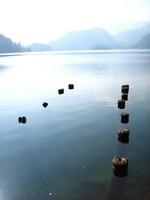 nedsänkta stolpar i sjön