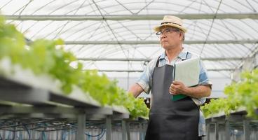 senior man arbetar i växthus, håller urklipp kontrollera kvaliteten på grön sallad odling. asiatisk trädgårdsodlare odlar hälsosam näring ekologiska salladsgrönsaker i hydroponisk gård foto