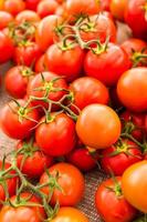 röda tomater foto