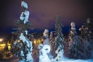vackra livliga soliga skandinaviska vinterlandskap i skidorten foto