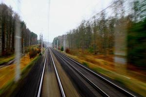 tåg kör skog foto