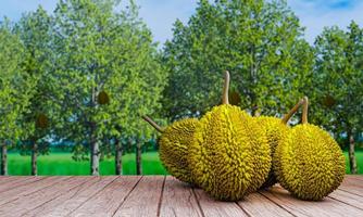 färsk durian, ej skalad placerad på ett trägolv, balkong eller spaljé i området för fruktträdgården. det finns ett durianträd som en suddig bakgrund. 3d-rendering foto