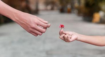 liten hand som håller blomman foto