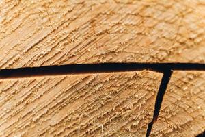 textur och yta av trä på stammen av träd bakgrund foto
