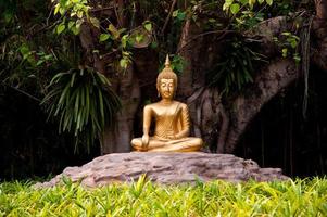 buddha staty i trädgården foto