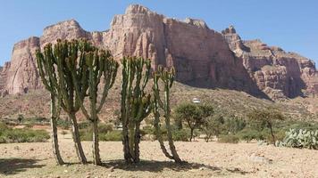 landskap, tigray, etiopien, afrika foto