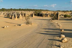 nambung nationalpark, västra Australien foto