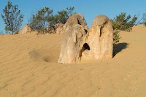 nambung nationalpark, västra Australien foto