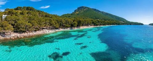 tropisk paradisstrand med vit sand och kokospalmer foto