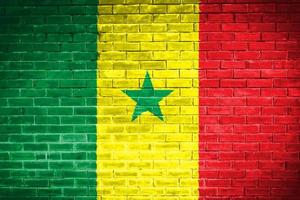 senegal flagga vägg textur bakgrund foto