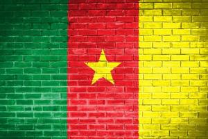Kamerun flagga vägg textur bakgrund foto
