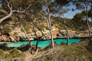 vacker strand med mycket rent och azurblått vatten vid Medelhavet på ön ibiza, Spanien. foto