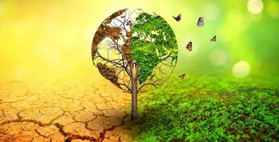 träd i två med mycket olika miljöer jorddagen eller världsmiljödagen global uppvärmning och föroreningar foto