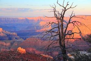 Grand Canyon solnedgång