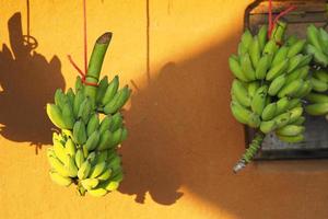 banan på orange bakgrund foto