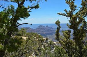 norra kanten av Grand canyon foto