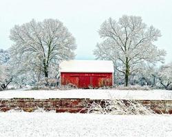 röd lada i snön på vintern foto