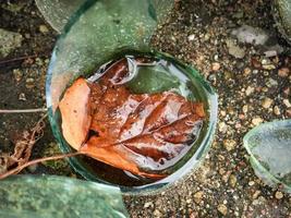 skadad glasflaska bottendel fylld med regnvatten med torrt brunt träd höstlöv på marken med glasbitar som ligger runt som miljöföroreningskoncept foto