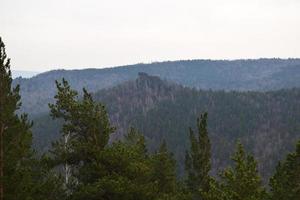 östra Sibiriens natur. taiga. krasnoyarsk territorium foto