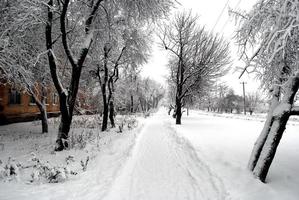 stig täckt med snö foto