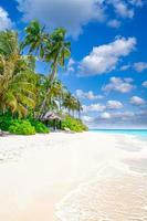 strand natur koncept. palmstrand på en tropisk idyllisk paradisö. exotiskt landskap för drömmande och inspirerande sommarlandskap som bakgrund eller tapeter foto