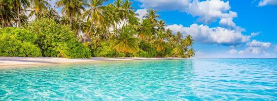 strand natur koncept. palmstrand på en tropisk idyllisk paradisö. exotiskt landskap för drömmande och inspirerande sommarlandskap som bakgrund eller tapeter foto