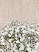 Gypsophila bukett, plats för text. bukett vita blommor. små blommor, vår foto