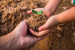 barn som planterar skog för att minska den globala uppvärmningen, koncept skog. foto