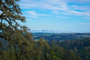 sonoma län grön dal med moln foto