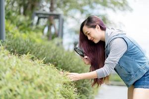 ung asiatisk kvinna utforskar naturen, på eftermiddagen, känn dig avslappnad och glad foto
