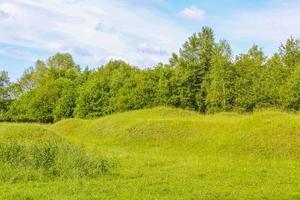 blå himmel med vacker naturskog landskap panorama tyskland. foto