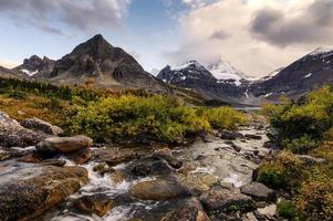 montera assiniboine med bäck som rinner i gyllene vildmark vid provinsparken foto