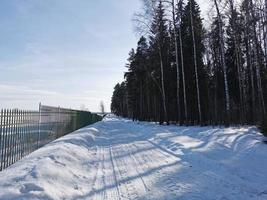 våren i pavlovsky park vit snö och kalla träd foto