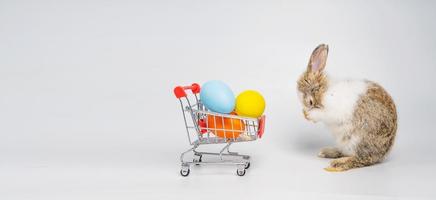 ung bedårande kanin eller kanin står och rengör sin fot bredvid online kundvagn för färg ägg, härlig åtgärd av ung kanin som shopping. foto