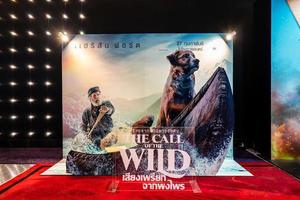 bangkok, thailand, 24 jan 2020 - en vacker standee av en film som heter call of the wild display på bio för att marknadsföra filmen foto