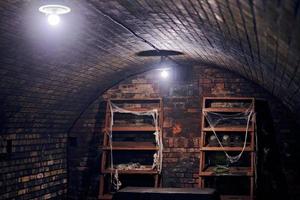 gammal övergiven källare med hylltäckt spindelnät, dyster kall källare med läskig atmosfär foto