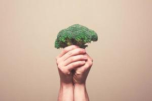 händer som håller broccoli