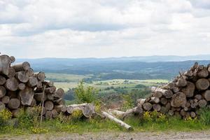 stapel med stockar foto