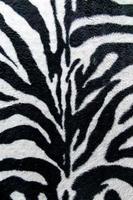 textur av print tyg ränder zebra för bakgrund foto