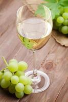 vitt vin och druvor foto