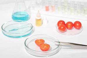 tomater i en petriskål på ett laboratoriebord. kemiskt ämne och provrör. bioteknisk forskning av genetiskt modifierade livsmedel. foto